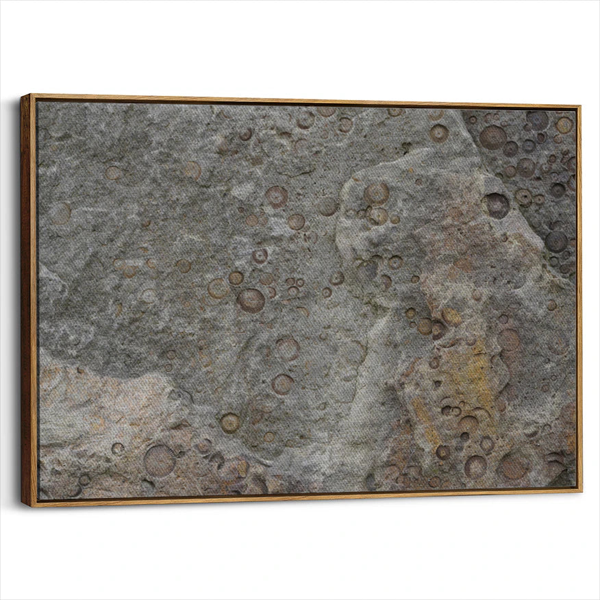 framed-canvas-brown-walnut
