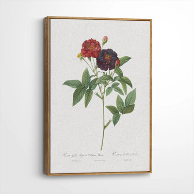 framed-canvas-brown-walnut