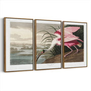 3-framed-print-brown-walnut