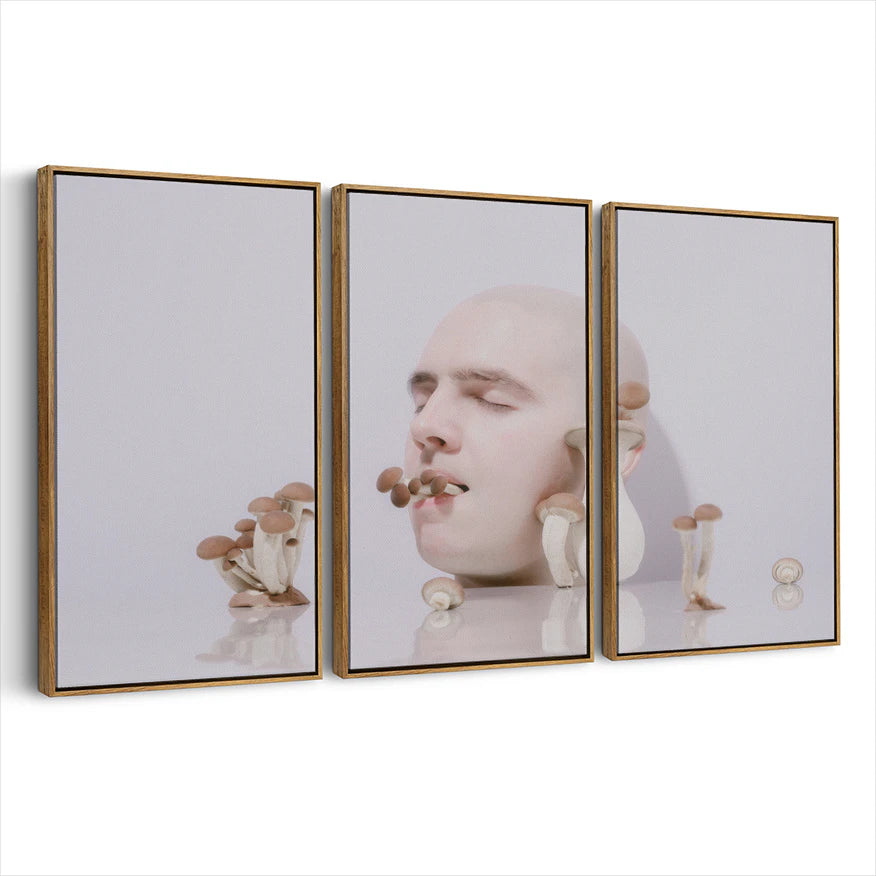 3-framed-print-brown-walnut
