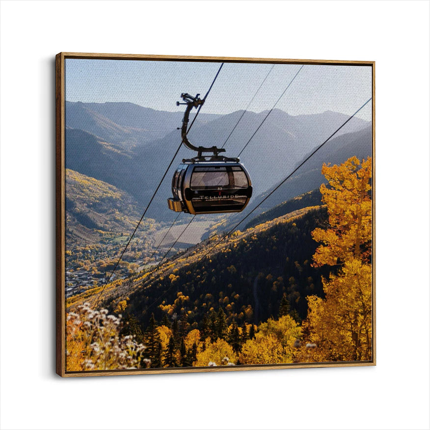 framed-canvas-brown-walnut