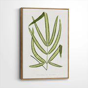 framed-canvas-brown-walnut