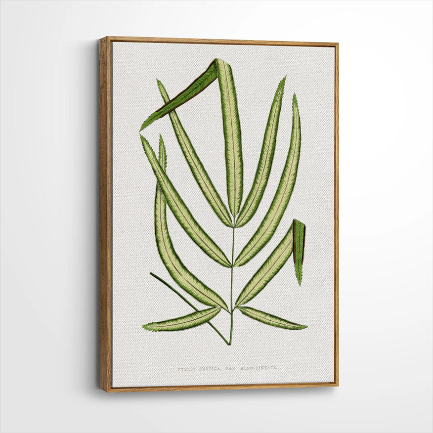 framed-canvas-brown-walnut
