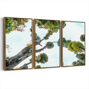 3-framed-canvas-brown-walnut