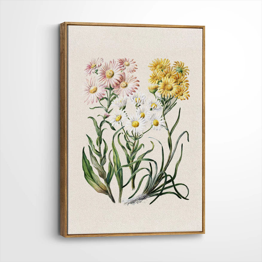 framed-canvas-brown-walnut