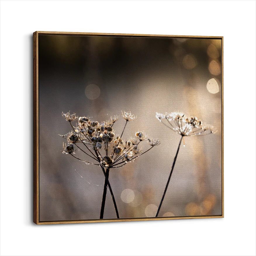 framed-canvas-brown-walnut
