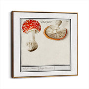 framed-canvas-brown-walnut