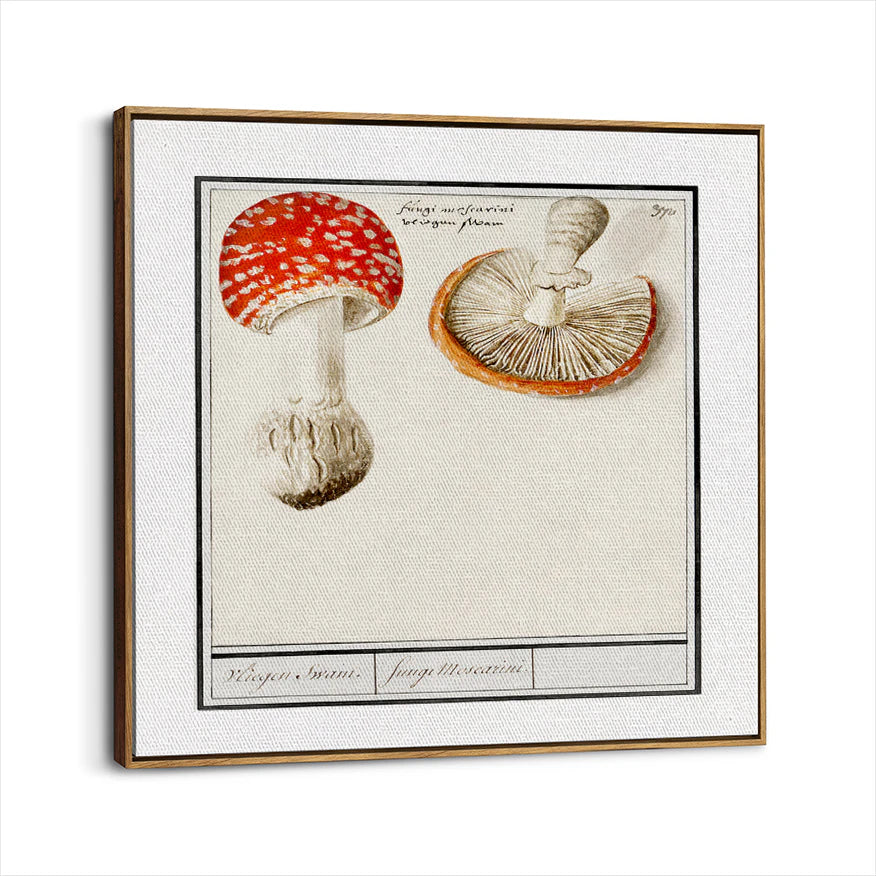 framed-canvas-brown-walnut