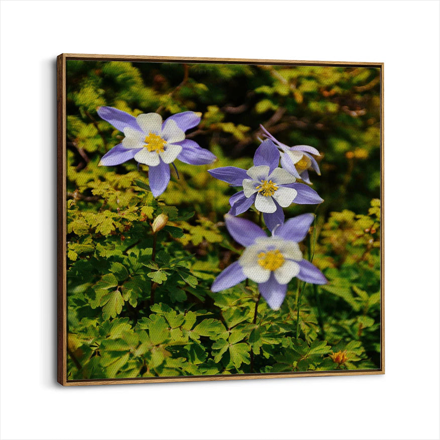framed-canvas-brown-walnut
