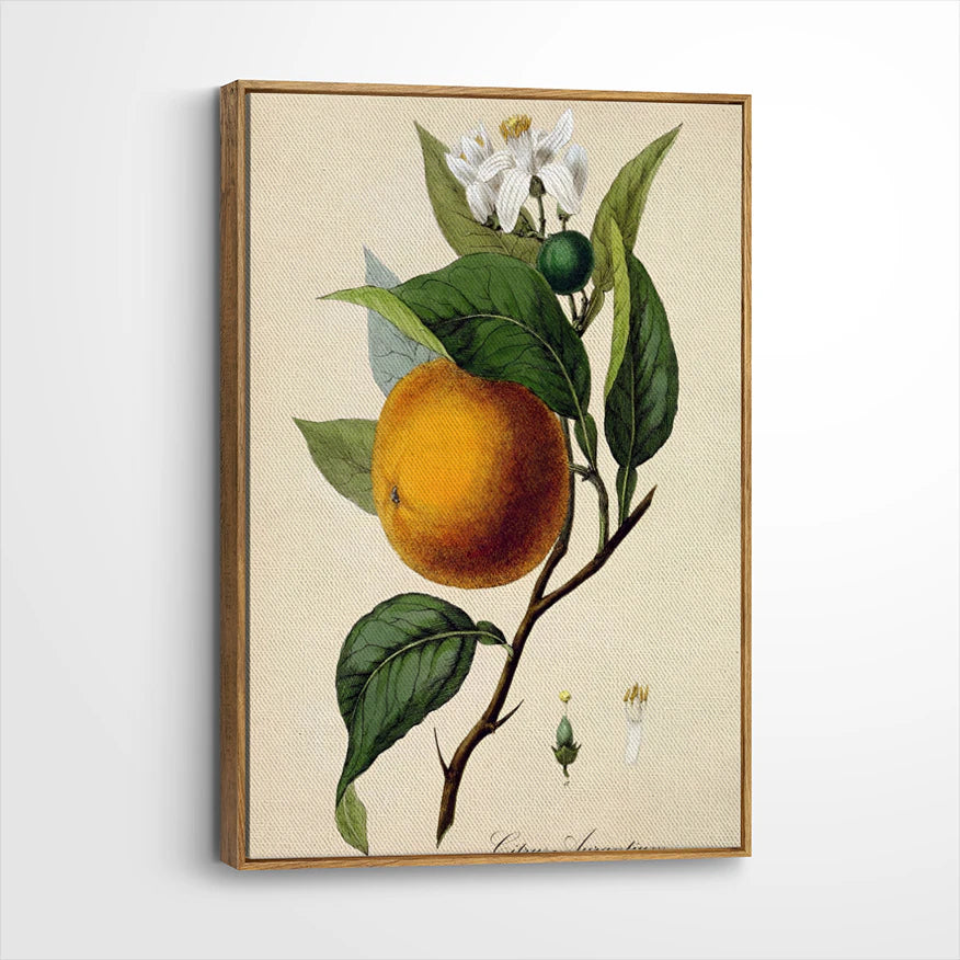 framed-canvas-brown-walnut