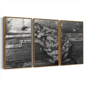 3-framed-print-brown-walnut