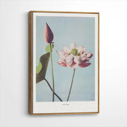 framed-canvas-brown-walnut