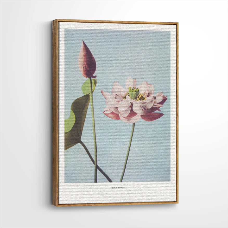framed-canvas-brown-walnut