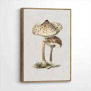 framed-canvas-brown-walnut