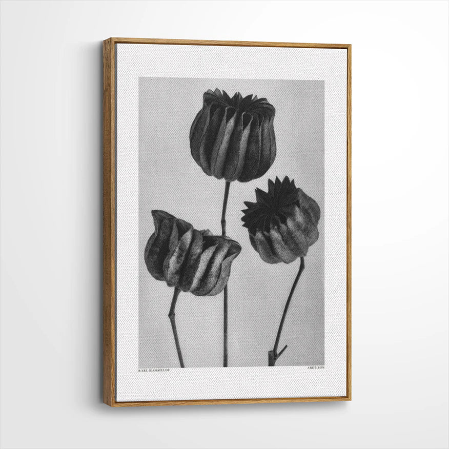 framed-canvas-brown-walnut