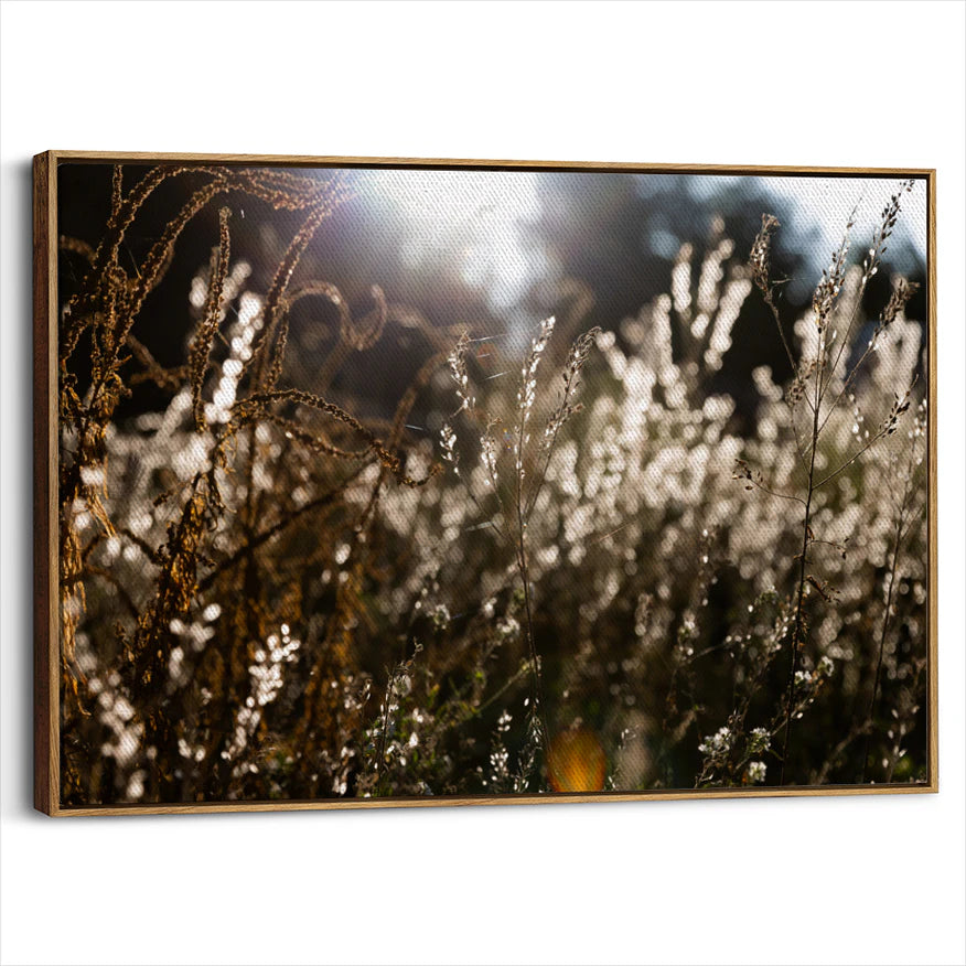 framed-canvas-brown-walnut