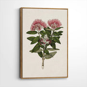 framed-canvas-brown-walnut