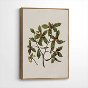 framed-canvas-brown-walnut
