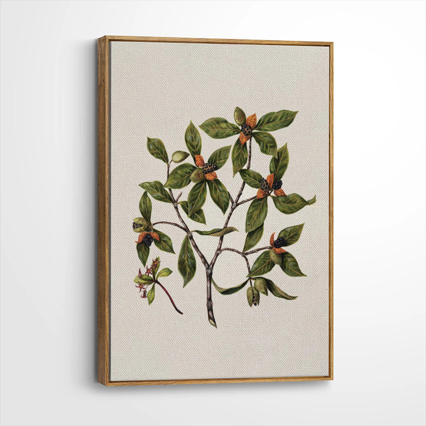 framed-canvas-brown-walnut