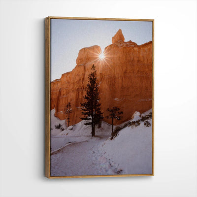 framed-canvas-brown-walnut