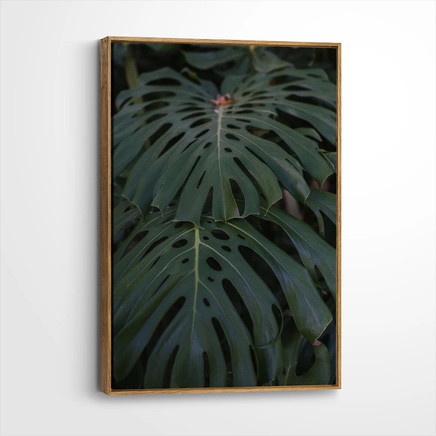 framed-canvas-brown-walnut