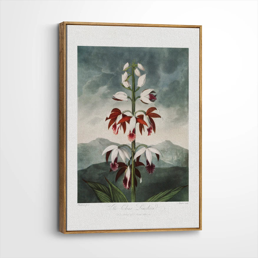 framed-canvas-brown-walnut