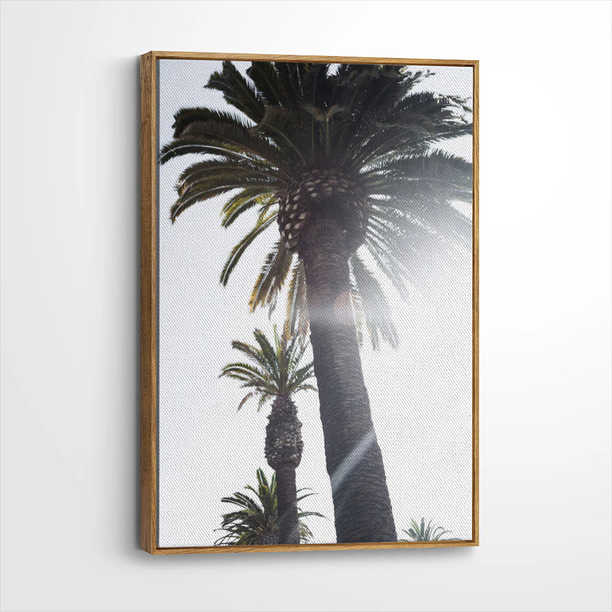 framed-canvas-brown-walnut