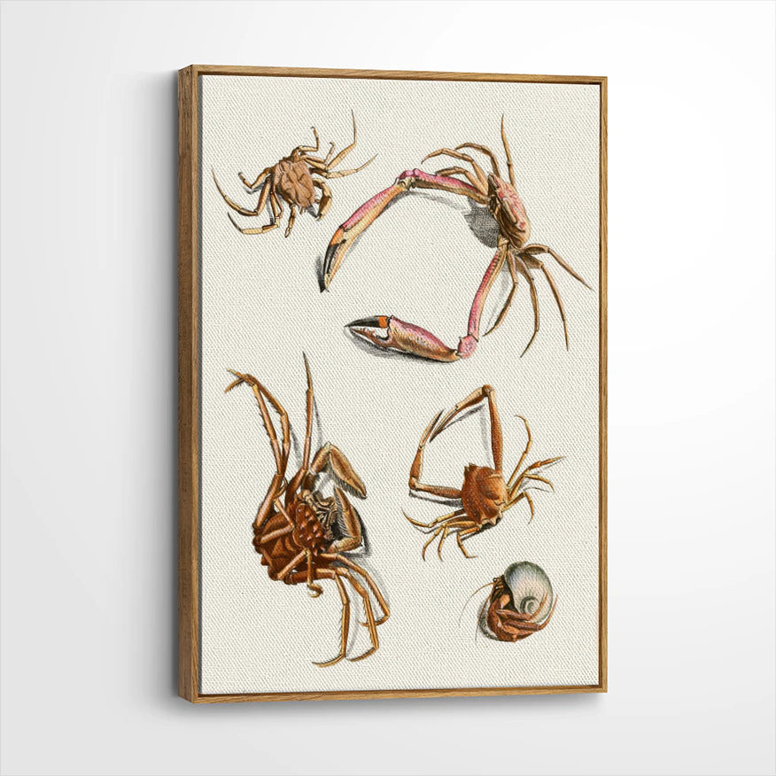 framed-canvas-brown-walnut
