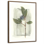 framed-print-brown-walnut-white-border