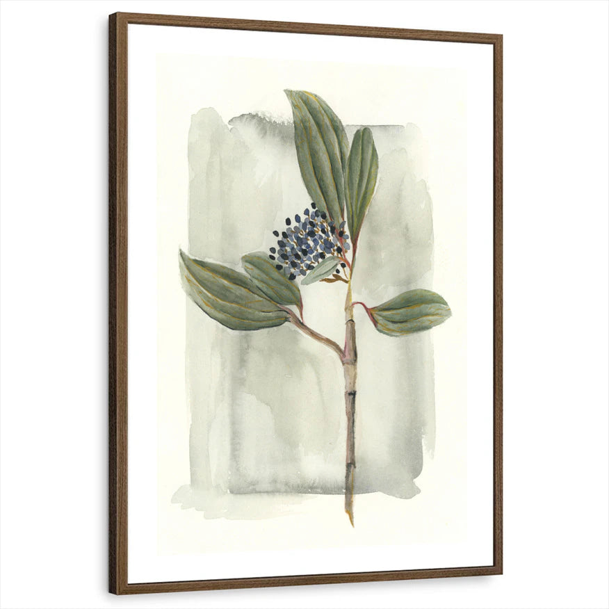 framed-print-brown-walnut-white-border