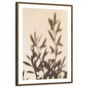 framed-print-brown-walnut-white-border
