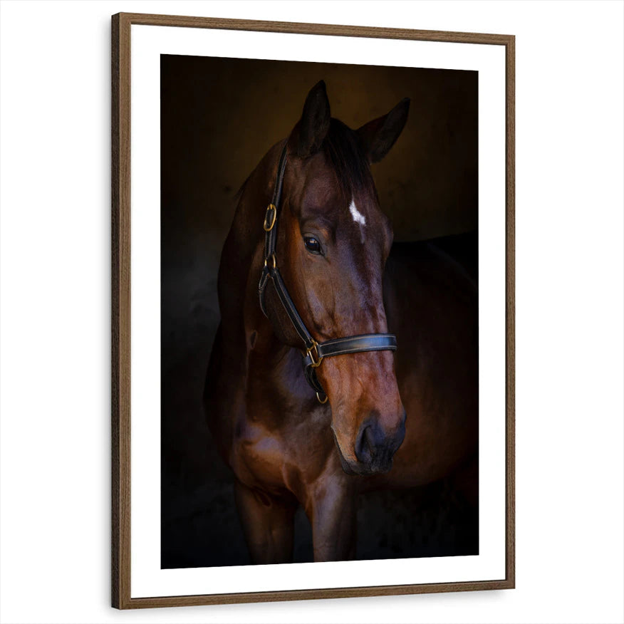 framed-print-brown-walnut-white-border