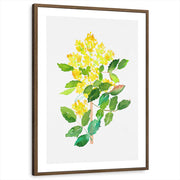 framed-print-brown-walnut-white-border