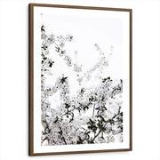framed-print-brown-walnut-white-border