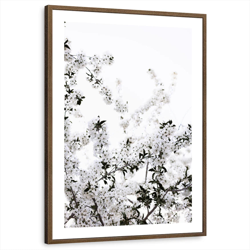 framed-print-brown-walnut-white-border