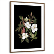 framed-print-brown-walnut-white-border