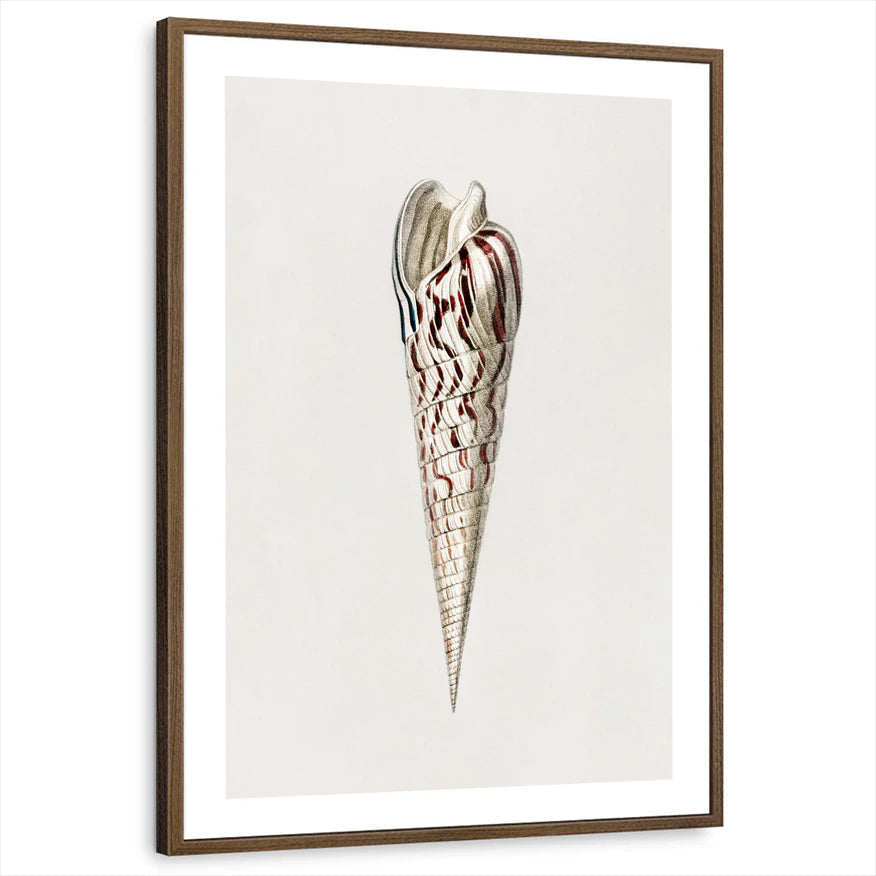 framed-print-brown-walnut-white-border