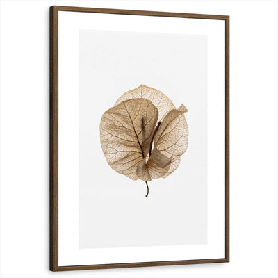 framed-print-brown-walnut-white-border