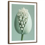 framed-print-brown-walnut-white-border