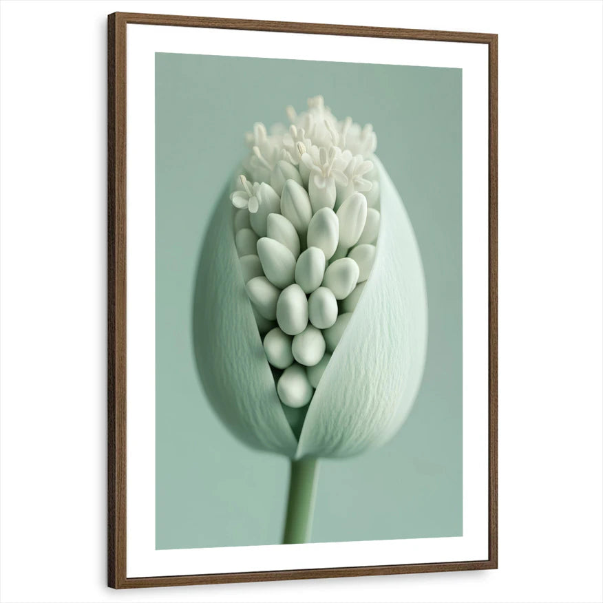framed-print-brown-walnut-white-border