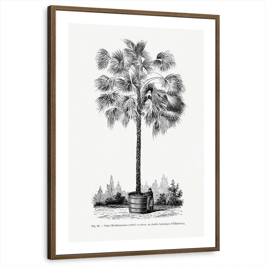 framed-print-brown-walnut-white-border