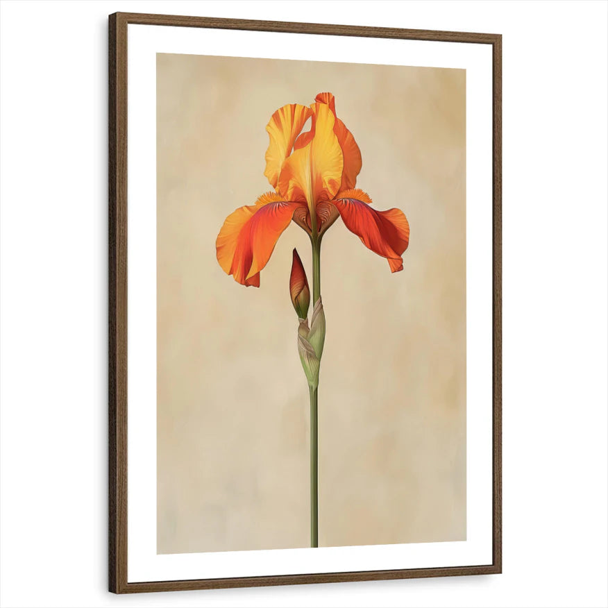 framed-print-brown-walnut-white-border