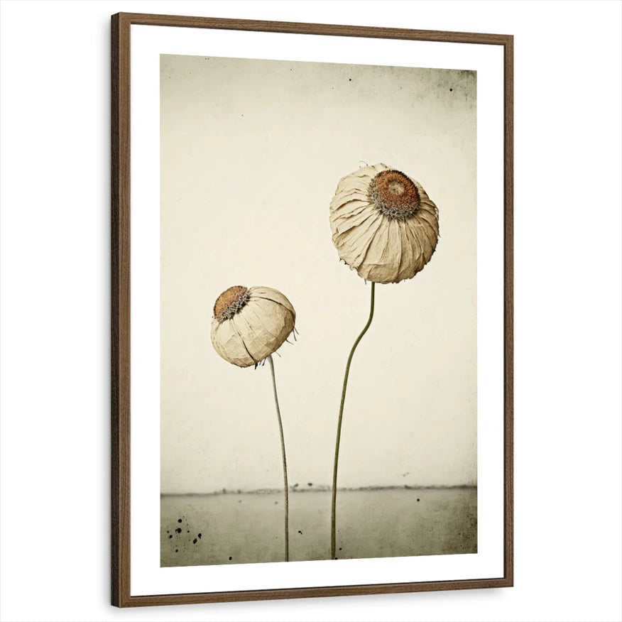 framed-print-brown-walnut-white-border