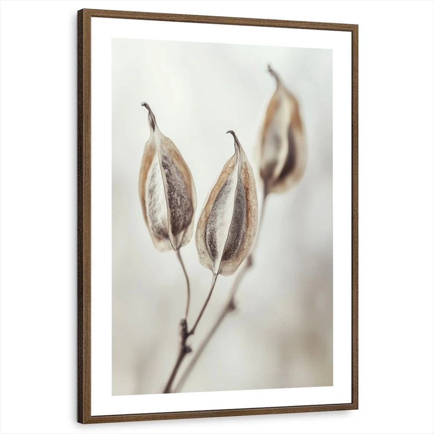 framed-print-brown-walnut-white-border