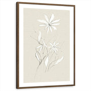 framed-print-brown-walnut-white-border