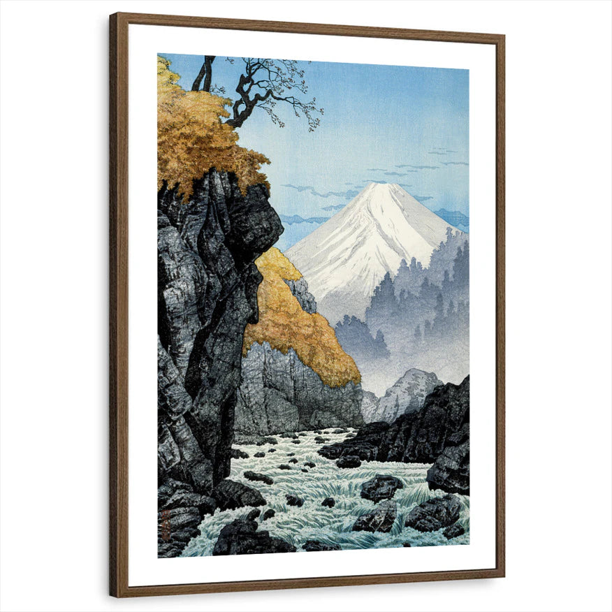framed-print-brown-walnut-white-border
