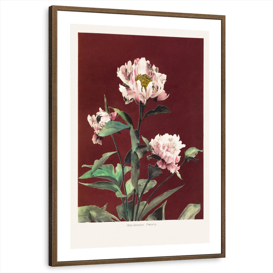 framed-print-brown-walnut-white-border
