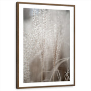 framed-print-brown-walnut-white-border