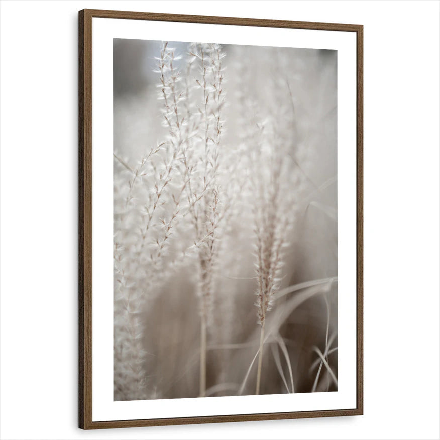 framed-print-brown-walnut-white-border