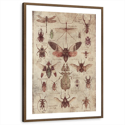 framed-print-brown-walnut-white-border